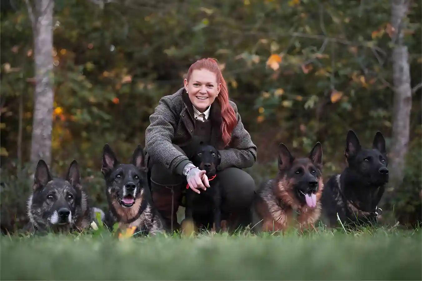 Fierce Dogs Team
