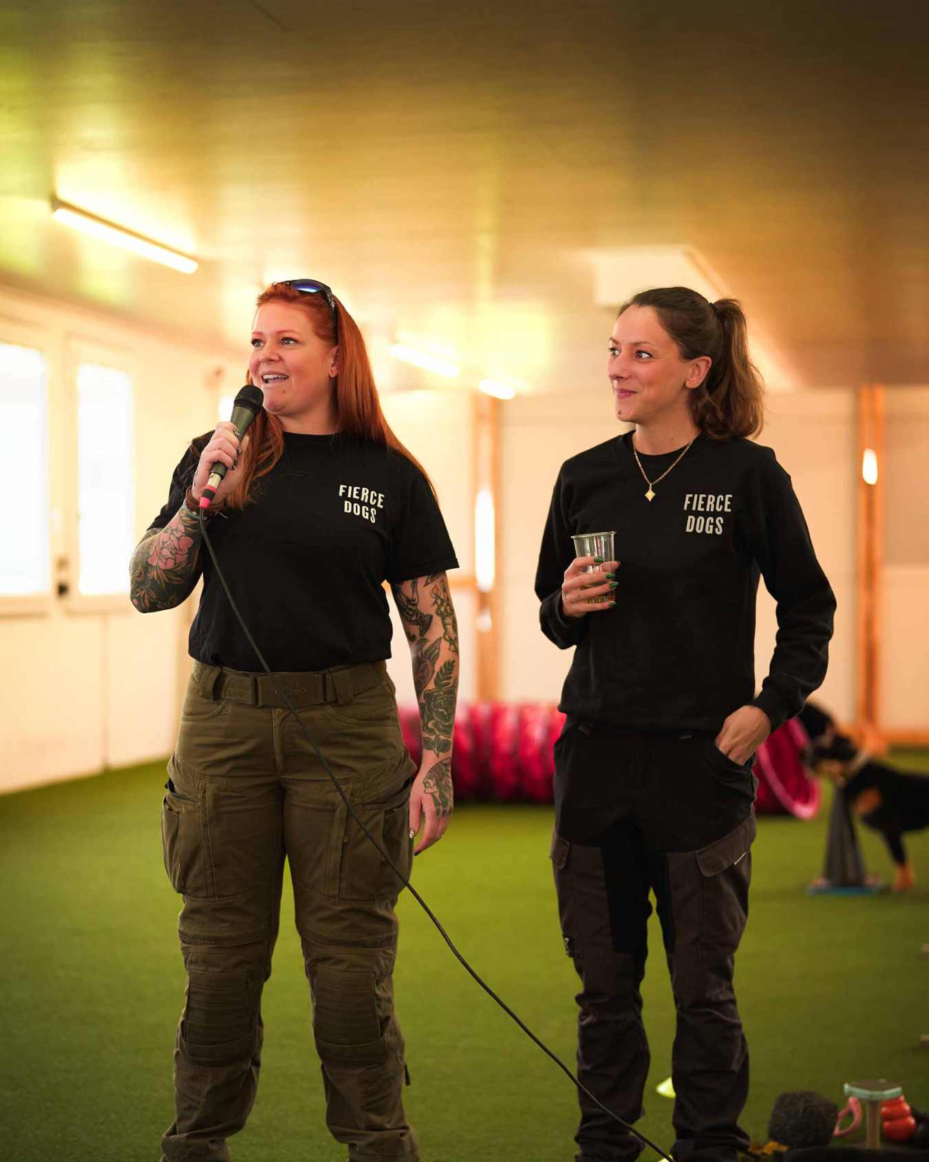 Unterordnung im Hundetraining bei Fierce Dogs