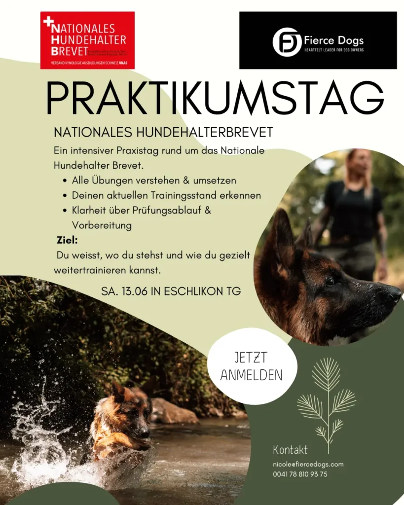 Informationsflyer von Fierce Dogs für einen intensiven Praxistag zum Nationalen Hundehalter Brevet (NHB) am Samstag, 13.06. in Eschlikon TG. Neben Bildern von Schäferhunden in der Natur werden die Kursziele gelistet: Übungen verstehen, Trainingsstand erkennen und Klarheit für die Prüfung gewinnen. Kontakt für die Anmeldung: nicole@fiercedogs.com, Tel. 0041 78 810 93 75.