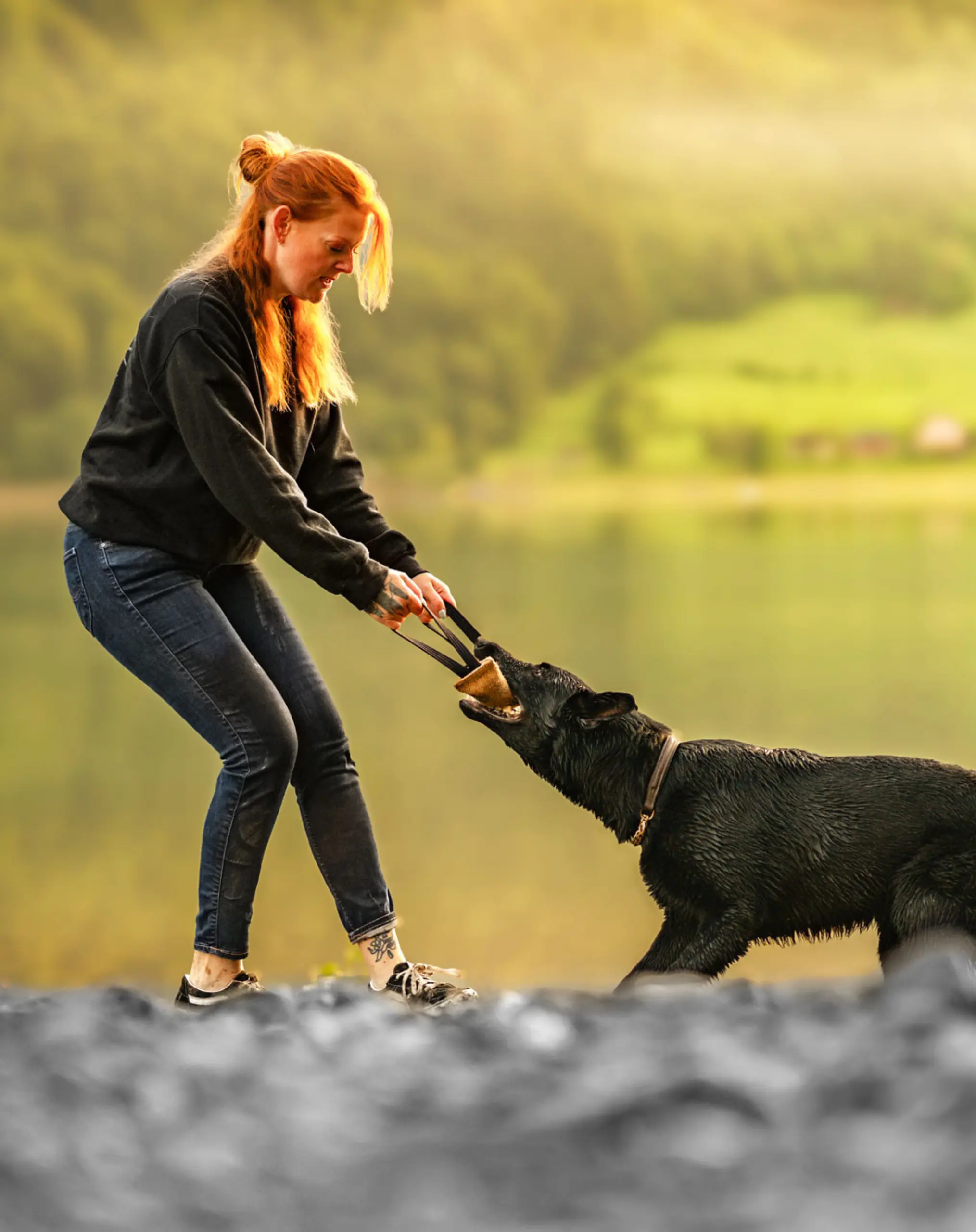 Nicole Koop, Gründerin der Fierce Dogs GmbH, beim professionellen Hundetraining mit einem Deutschen Schäferhund und Beißkissen.